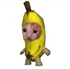 Gato Banana
