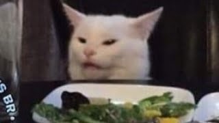 Gato Safado - Fotografia registrada por câmera de segurança